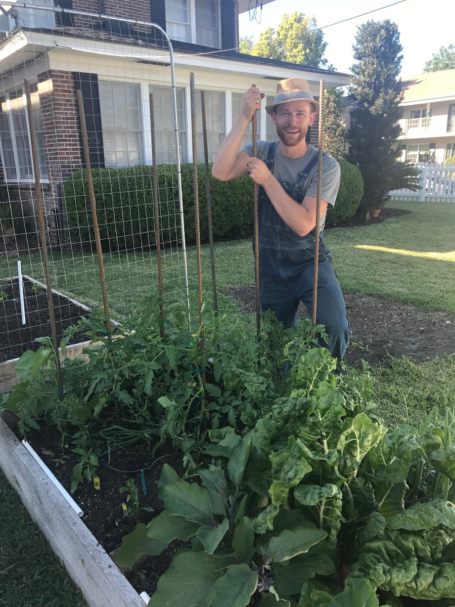 Rebar Tomato Stakes 5/8" x 6'8" Overalls